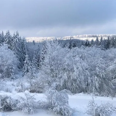 Διαμέρισμα Relax 1 Γκόσλαρ