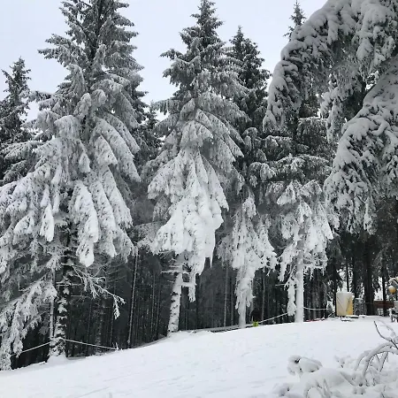 Relax 1 * Γκόσλαρ