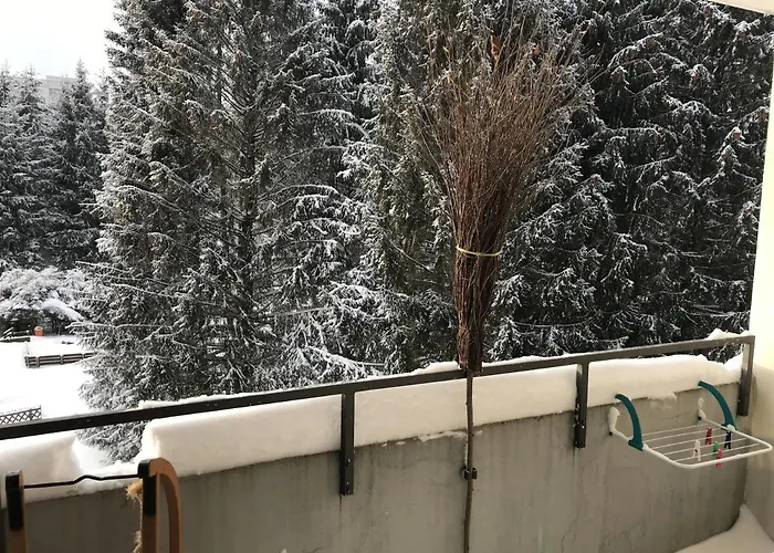 Daire Relax 1 Goslar