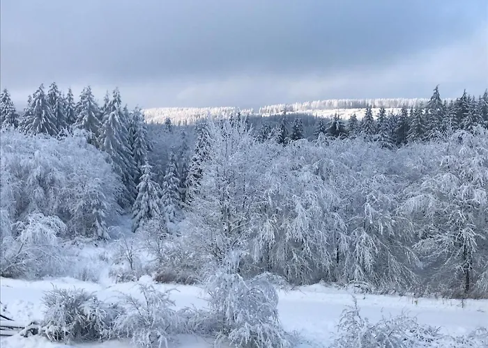 Daire Relax 1 Goslar