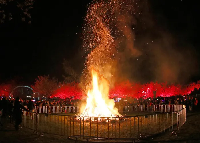 Relax 1 Daire Goslar